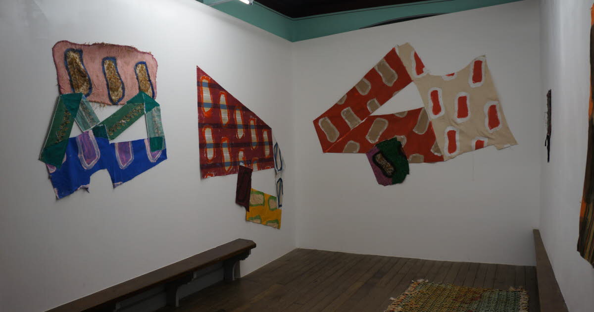 photos de l'exposition montrant des tissus imprimés de Claude Viallat au mur