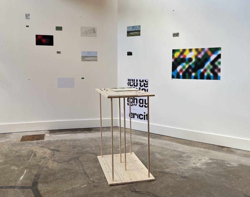 Vue d'une exposition de l'artiste
