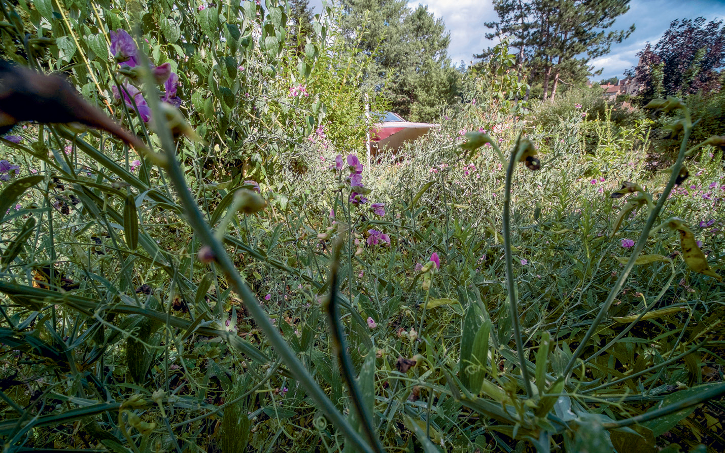 Bateau échoué dans les jardins de la gare