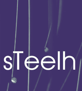 Logo de Steelh