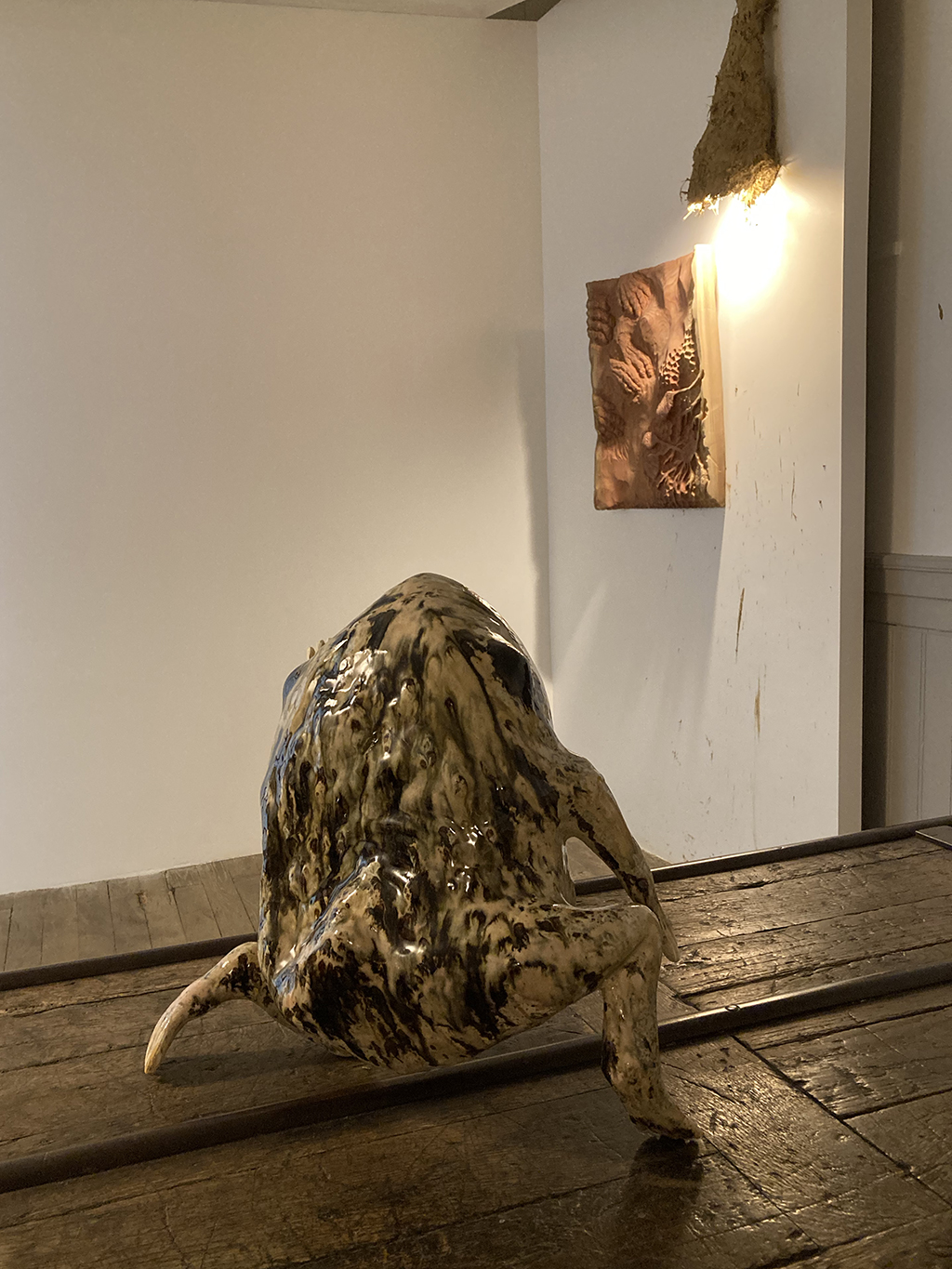 Vue de l'expositoin avec une grenouille qui regarde une stelle en bois, accrochée au mur