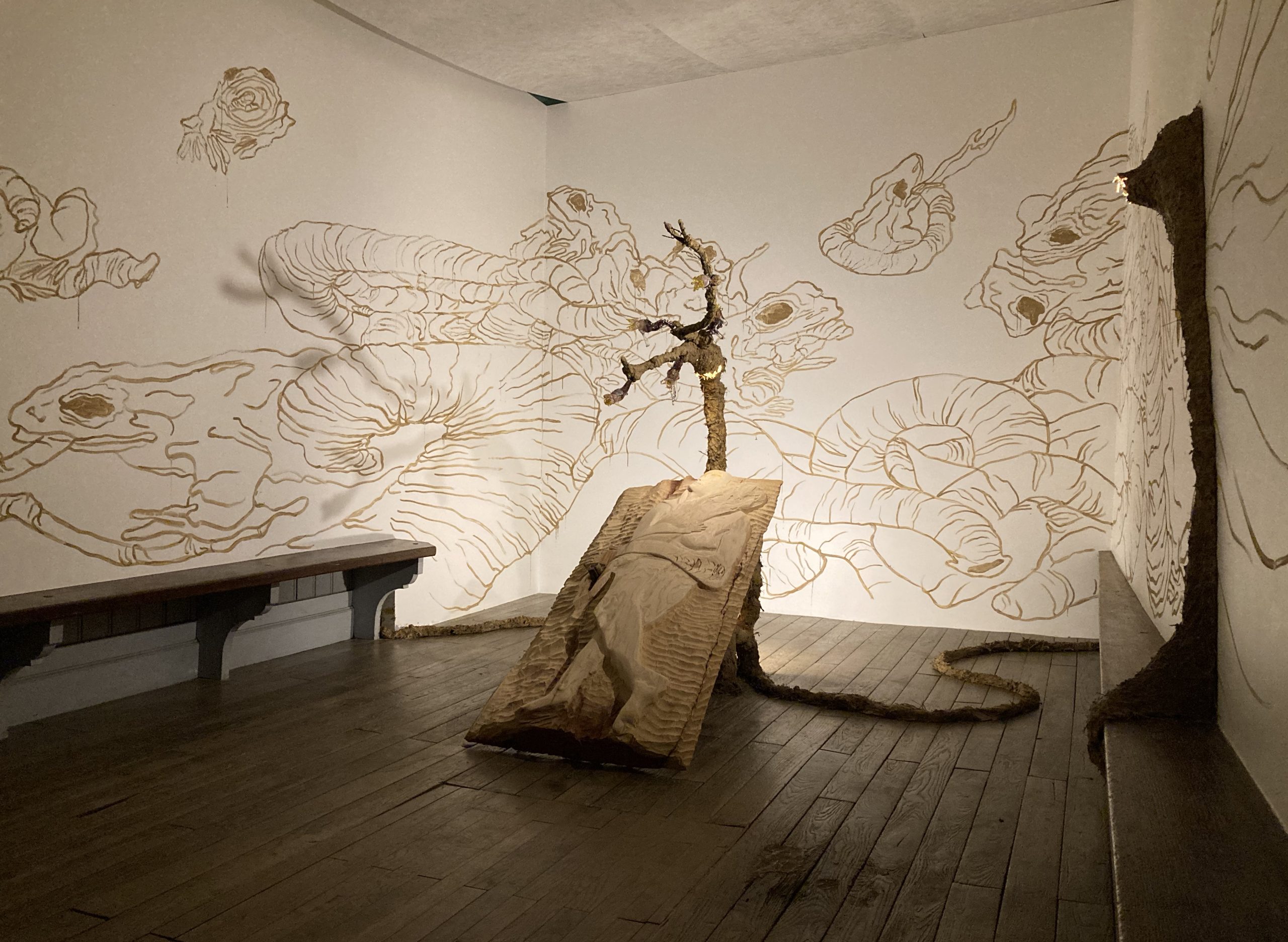 vue générale de la 2e salle avec une sculpture de gisant en bois, une fresque s'étalant sur trois murs représentant des grenouilles et des sangsues, faite avec du jus de terre.