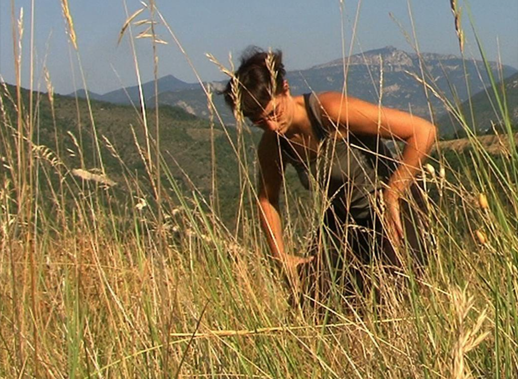 Portrait de l'artiste dans un champ aux hautes herbes