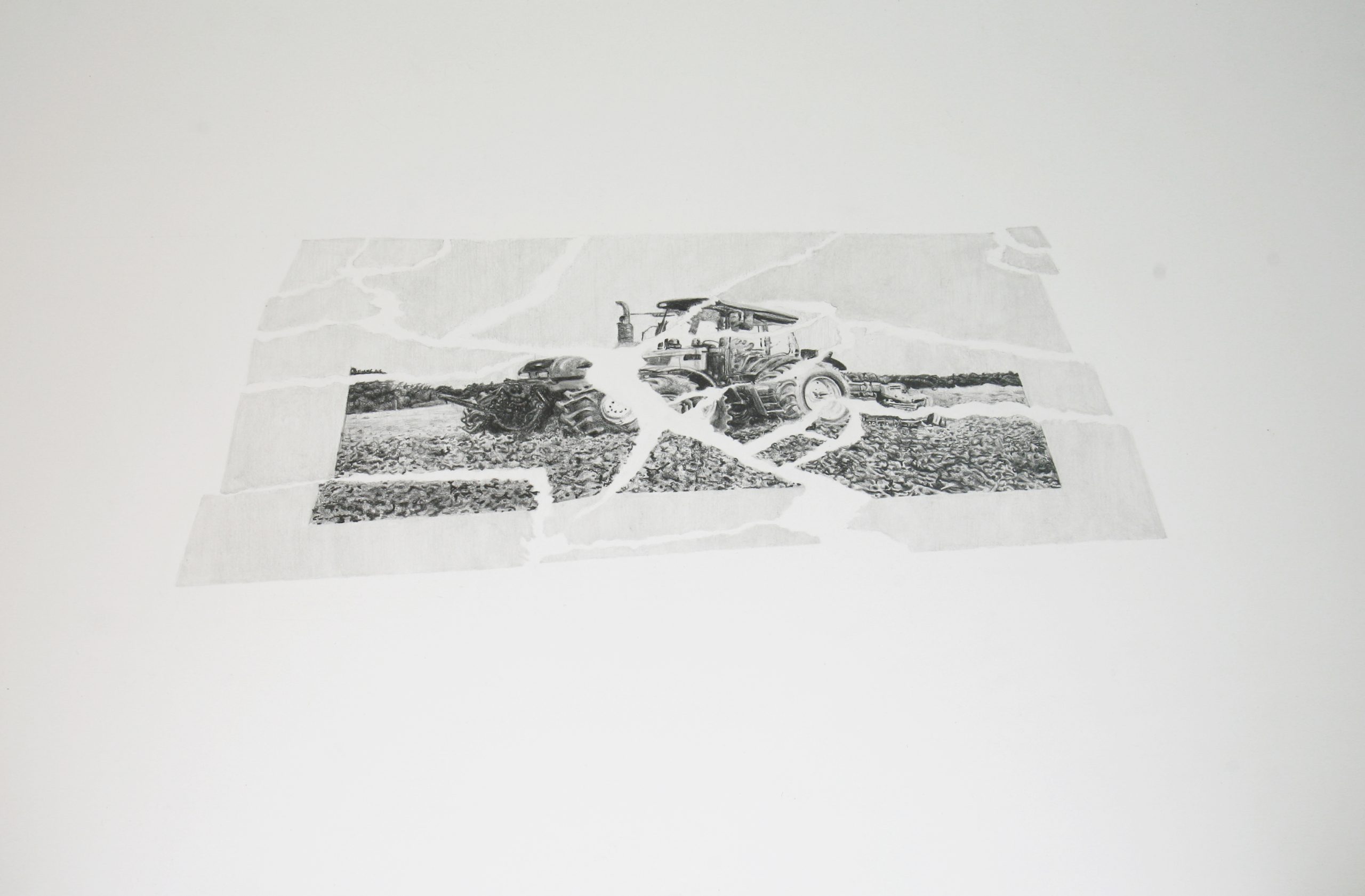 Souvenir paysan, 2020. Dessin au Graphite sur papier Arches, 50 x 35 cm